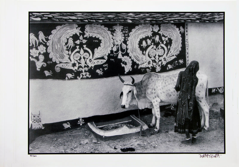 Jyoti Bhatt - Decorating a Bullock for a Local Festival, Rajasthan (1989)