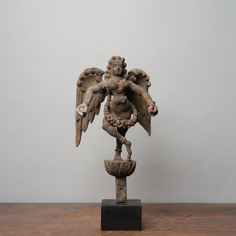 Pondicherry Angel
