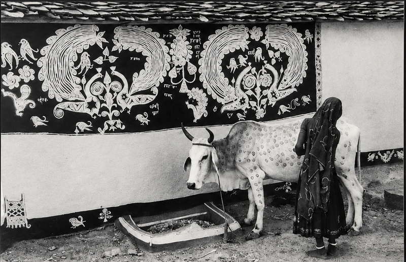Jyoti Bhatt - Decorating a Bullock, Rajasthan (1989)