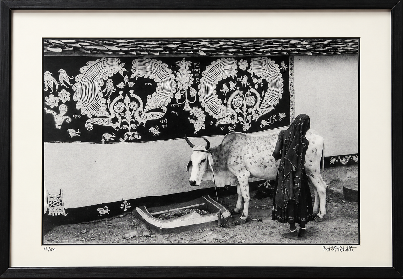Jyoti Bhatt - Decorating a Bullock, Rajasthan (1989)